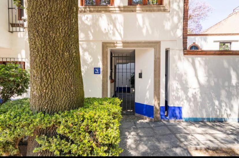 Siete Puertas Coyoacan Mexico-stad Buitenkant foto